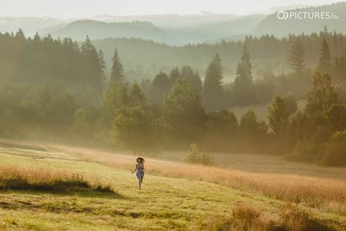 wood portrait woman sun nature girl field pine forest sunrise canon eos hope country young meadow sunny run skirt romania barefoot f2 rise magyar ariadne 135mm hungarian 6d demography portré harghita hargita harghitacounty odpictures odpictureshu