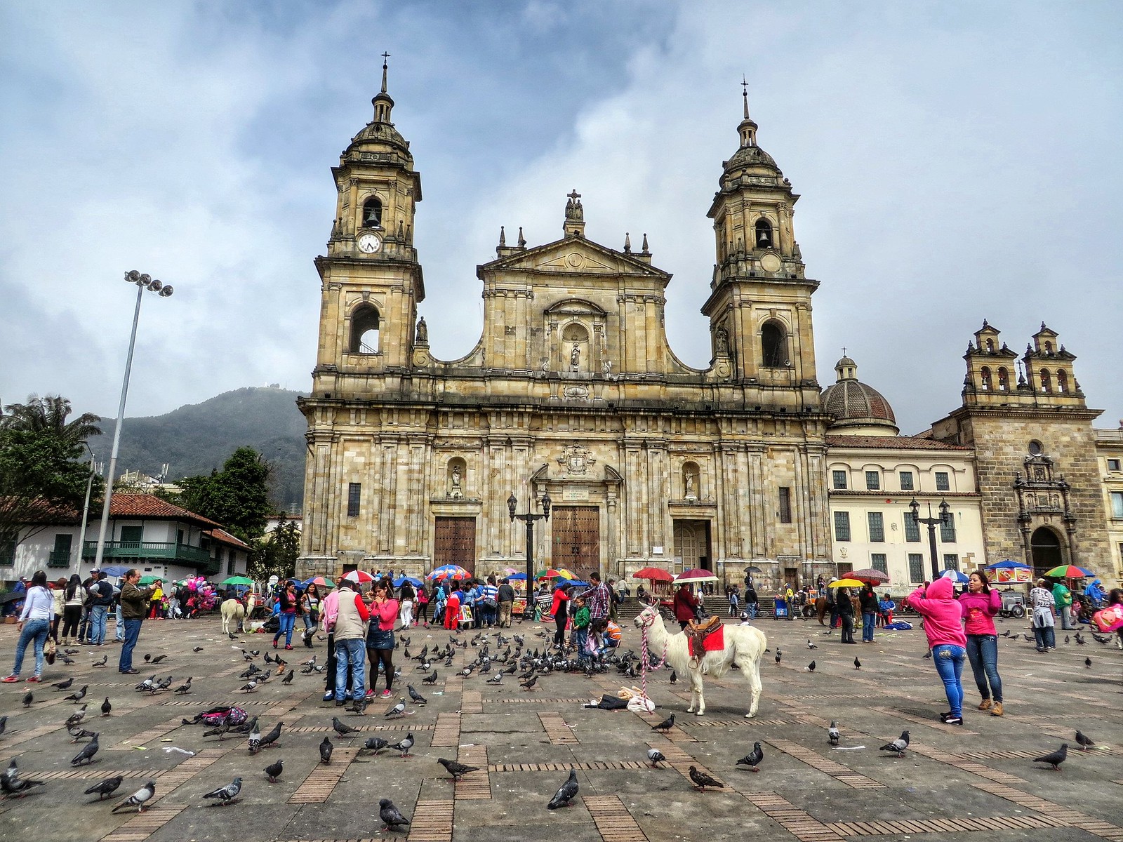 Adults sex games in Bogota