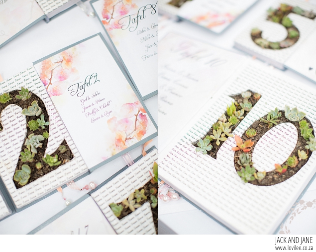 Succulent book table numbers