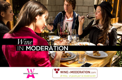 Wines of Argentina se suma al programa “Wine in Moderation”