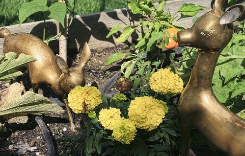 Buy-Way Finds: Garden Brass