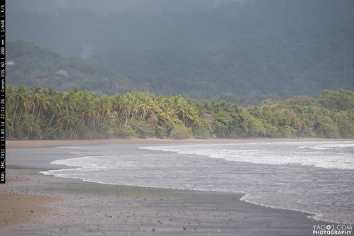 beach landscape costarica playa parquenacionalcahuita