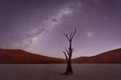 africa park travel trees sunset sky tree slr nature night digital photoshop stars landscape dead skeleton photography star photo nationalpark twilight sand nikon nightscape desert natural dusk african space dunes astro nighttime clay photograph astrophotography processing marsh pan nightsky dslr namibia constellations cosmos acacia cracked sanddunes constellation deadend d800 milkyway namibian sossusvlei namib desiccated saltpan southernafrica deadvlei postprocessing starscape travelphotography camelthorn subsaharan claypan tsauchab namibnaukluft tsauchabriver acaciaerioloba thefella starphotography conormacneill republicofnamibia republiknamibia republiekvannamibië thefellaphotography vachelliaerioloba
