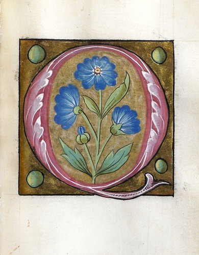 005-Leaf from Alphabet Book- The Art Walters Museum