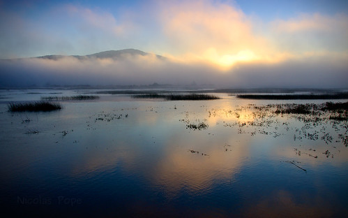 mist lake sunrise slovenia cerknica