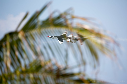 USAF Thunderbirds passing through the palms