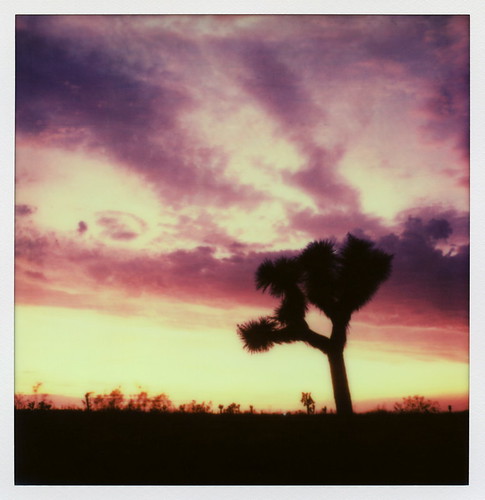 california county ca pink sunset toby color tree film silhouette clouds project landscape polaroid sx70 for la los highway purple angeles joshua hwy tip cameras type instant pearblossom bodie sonar hancock impossible the 138 impossibleproject polawalk tobyhancock impossaroid 072714 polaroadtrip
