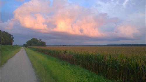 sunset corn katy trail katytrail