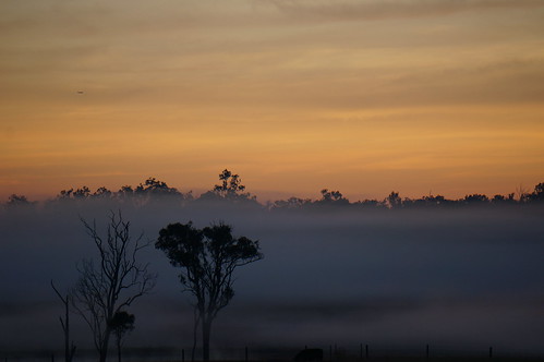 morning mist fog sunrise dawn goldsky