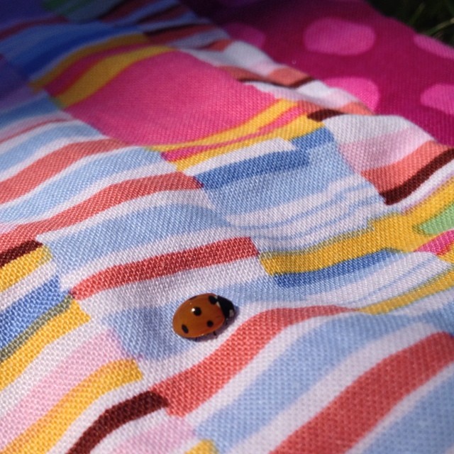 This little ladybird is sunbathing with me, on my quilt #sunshine #summer #ladybird #quilt #lazysunday #weekend #london