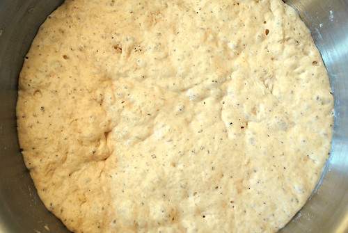 Lahey dough risen