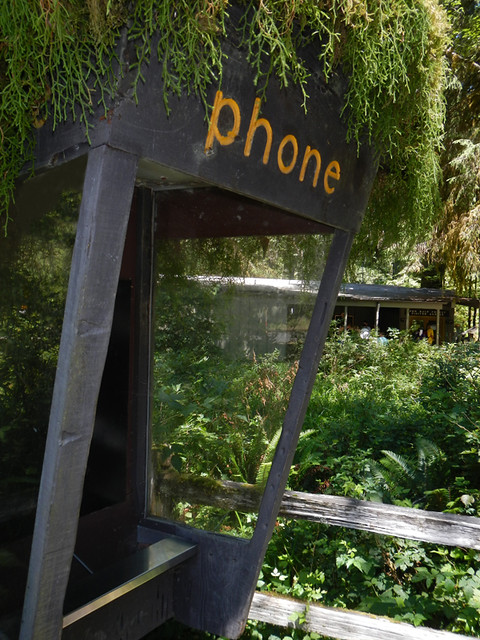 Old Phone Booth in the Hoh Rainforest