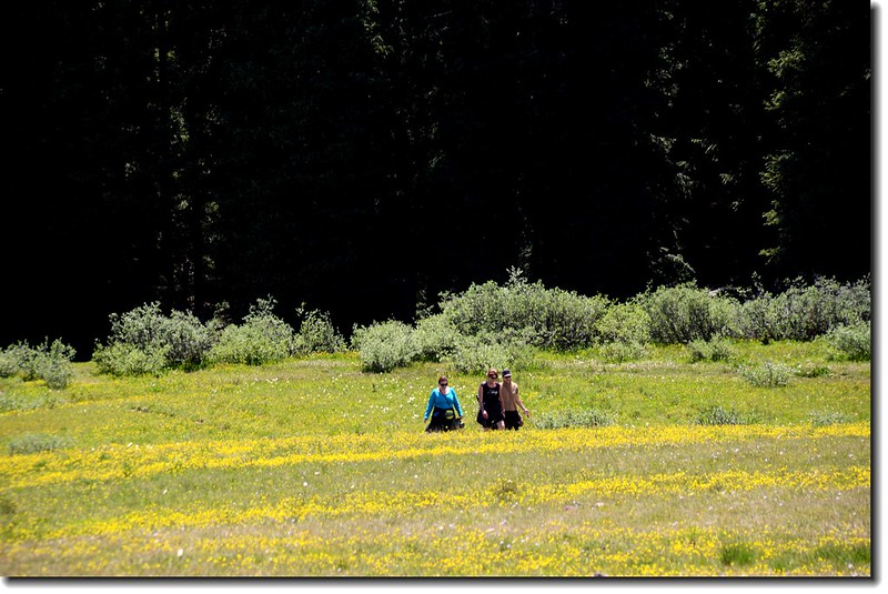 Hikers hiking through the open meadows