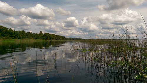 lake nature florida lakemonroe waterscape htc oneography ilobsterit