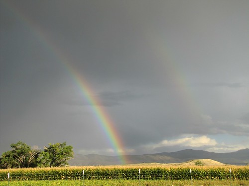 rain clouds rural rainbow cornfield colorado day monsoon agriculture montrosecolorado