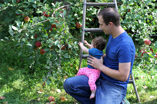 A Trip to the Apple Orchard + an Apple Recipe Roundup | www.girlversusdough.com @stephmwise