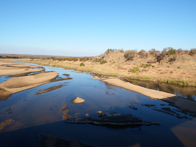 Kruger, Kruger, Kruger!!!!!!! - Sudáfrica 2014: Ballenas Y 8 Días En Kruger (17)