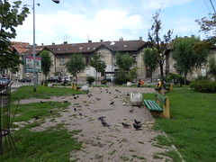A glimpse from Belgrade, Serbia
