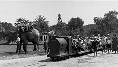 Early days: The Adelaide Zoo in the 1920s (GN07569) (supplied - History Trust of SA).