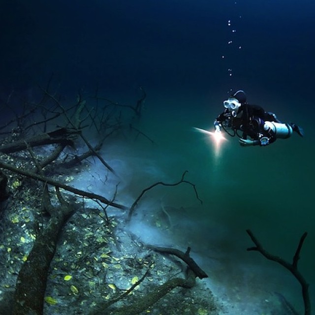 Underwater River  Location: Cenote Angelita (Little Angel), Mexico  Cenote Angelita is surreal diving experience. Located on the Yucatan Peninsula 15 minutes from Tulum, the site is an advanced cave dive.    This natural formation looks and flows like an 