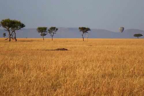 africa tanzania safari
