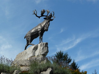 038 Newfoundland Memorial Park