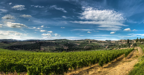 panorama landscape vineyard country hill champs paysage toscane campagne hdr italie colline castelvecchi