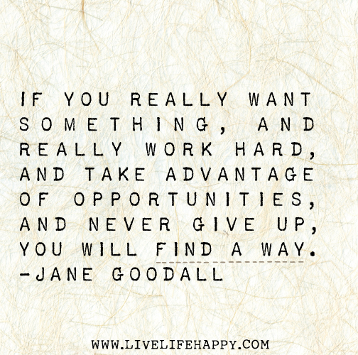 If you really want something, and really work hard, and take advantage of opportunities, and never give up, you will find a way. - Jane Goodall