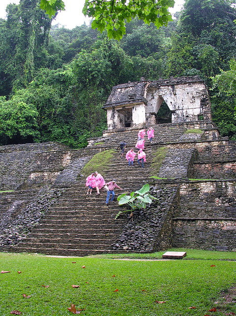 2011 MEXICO-173 PELENQUE MAYA RUINS Temple XII 墨西哥 帕倫卡瑪雅遺址 十二號神廟