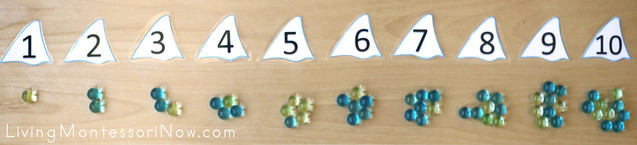 Shark Fin Number Layout