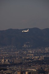 Japan Airlines Boeing 777-200 JA8982 approaching to Osaka International Airport