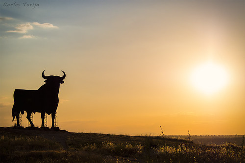 españa landscape spain paisaje bull heat toro osborne carlostorija