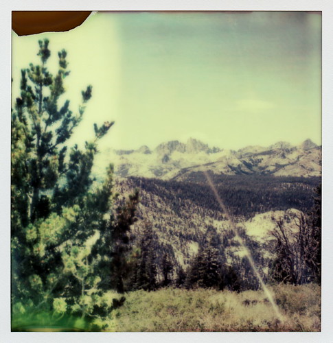 california ca trees toby mountains color film pine forest project polaroid sx70 for view minaret tip national cameras summit type fir vista instant bodie sierras sonar hancock eastern minarets impossible the inyo minaretvista sx70sonar impossibleproject polawalk tobyhancock impossaroid 072614 polaroadtrip