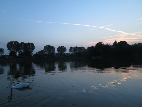 sunset moon lake bird water swan pond reggioemilia villadeste rivalta vascadicorbelli