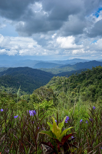 mountains malaysia kelantan perak titiwangsa puncak jeli grik banjarantitiwangsa lebuhrayatimurbarat
