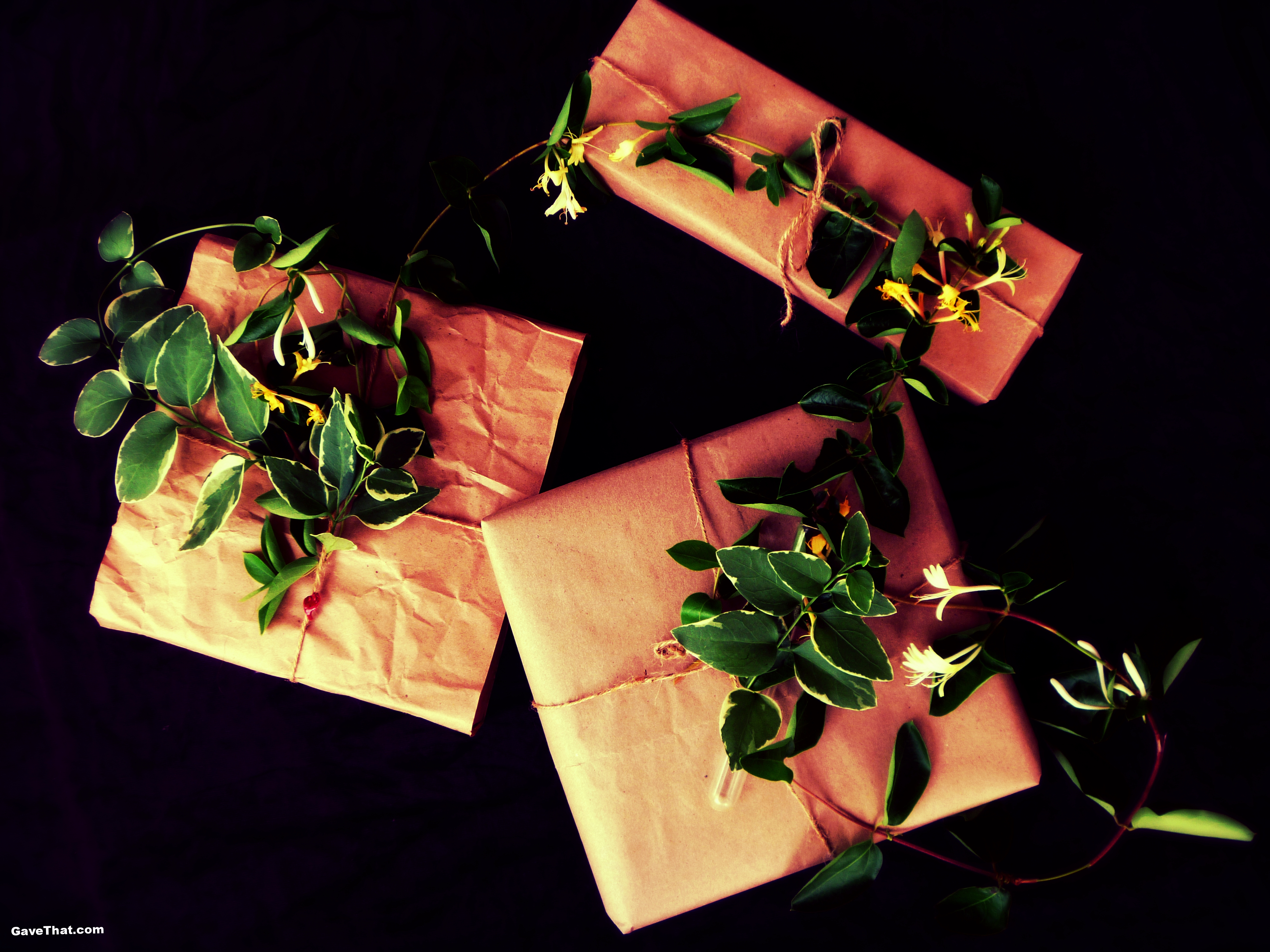 Vine Gift Wrap Idea