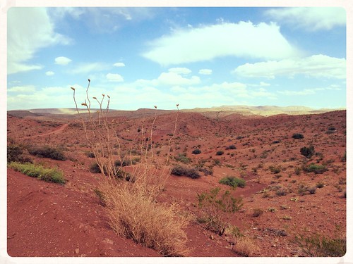new usa southwest mexico desert backcountry ocotillo chihuahuan byway quebradas