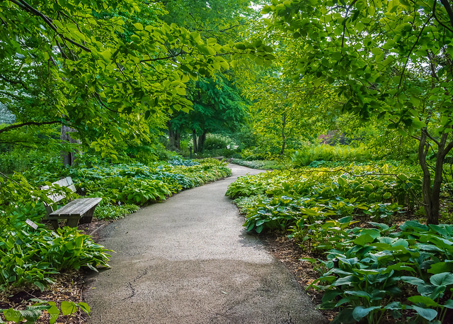 Arboretum garden path 2