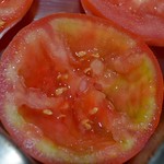 Tomate Recheado (1)