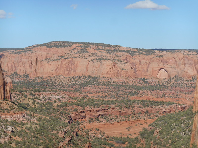 Tsegi Canyon, Navajo National Monument, AZ (23)