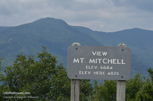 View of Mt. Mitchell from the Blue Ridge Parkway