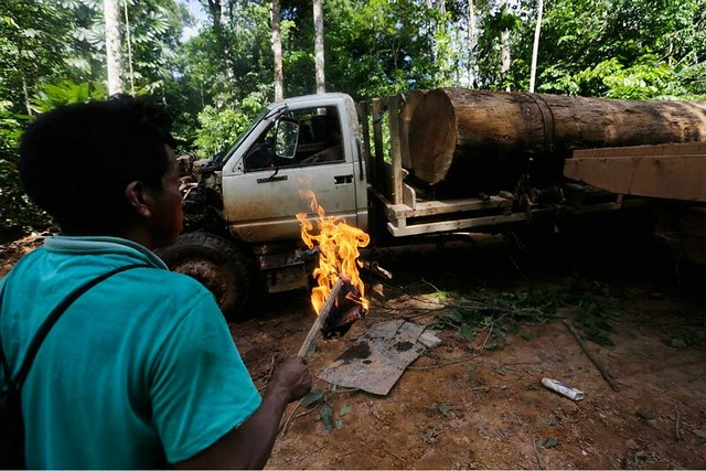1_amazon-indians-strip-tie-beat-illegal-loggers (10).jpg