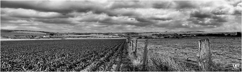 sky bw panorama france monochrome clouds normandie paysage campagne panoramique 2014 lerozel leicamtype240