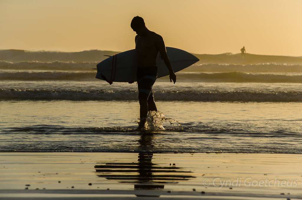 sunset surfer done