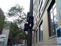 Tiny pedestrian signals of downtown St. Paul