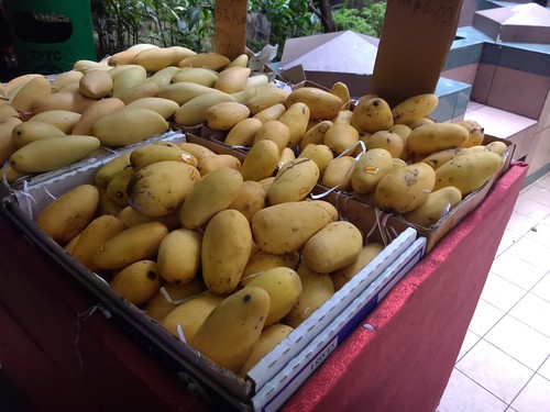 From left: Thai honey mangoes and chok anan mangoes