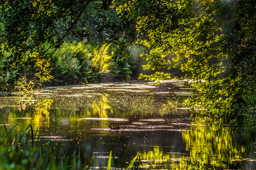 reflection water reflections river landscape landscapes nikon canals rivers lightroom d3200 canl