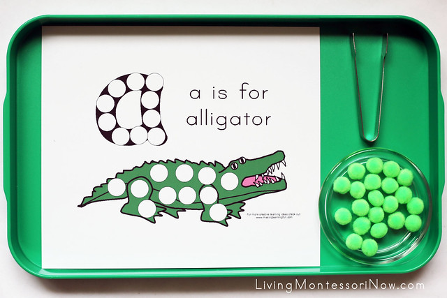 A is for Alligator Tray