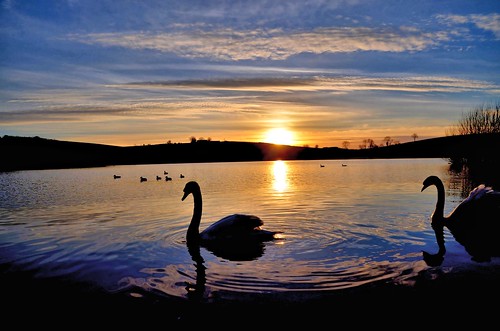 county blue ireland sunset sky lake water clouds over swans northern ulster armagh kernan