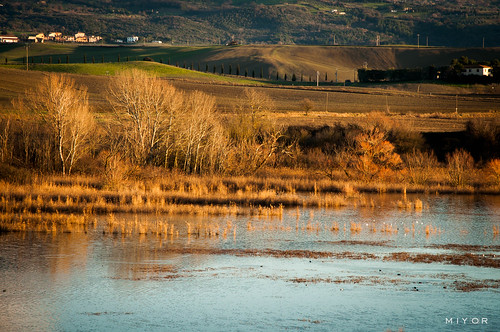 italy nature landscape view image country hill pisa tuscany fields naturephotography 2014 nikond90 santaluce